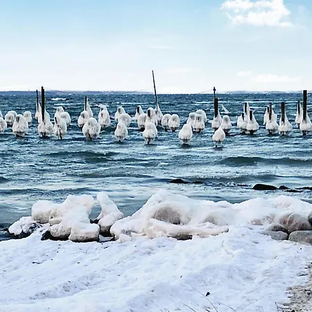 Anslet Haderslev Iv *